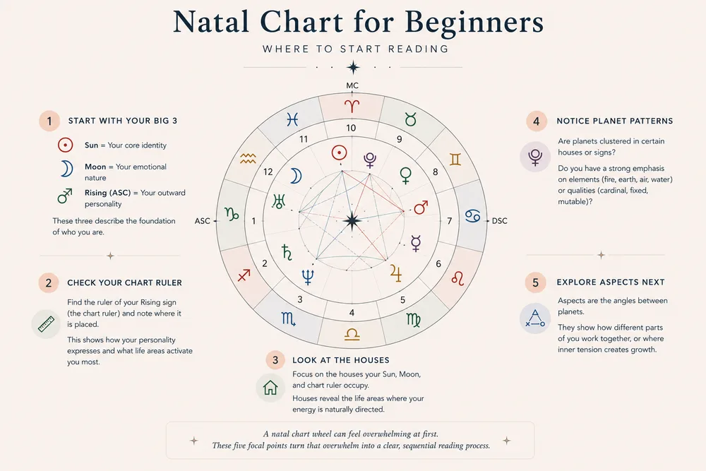 natal chart for beginners showing where to start reading with numbered guide points