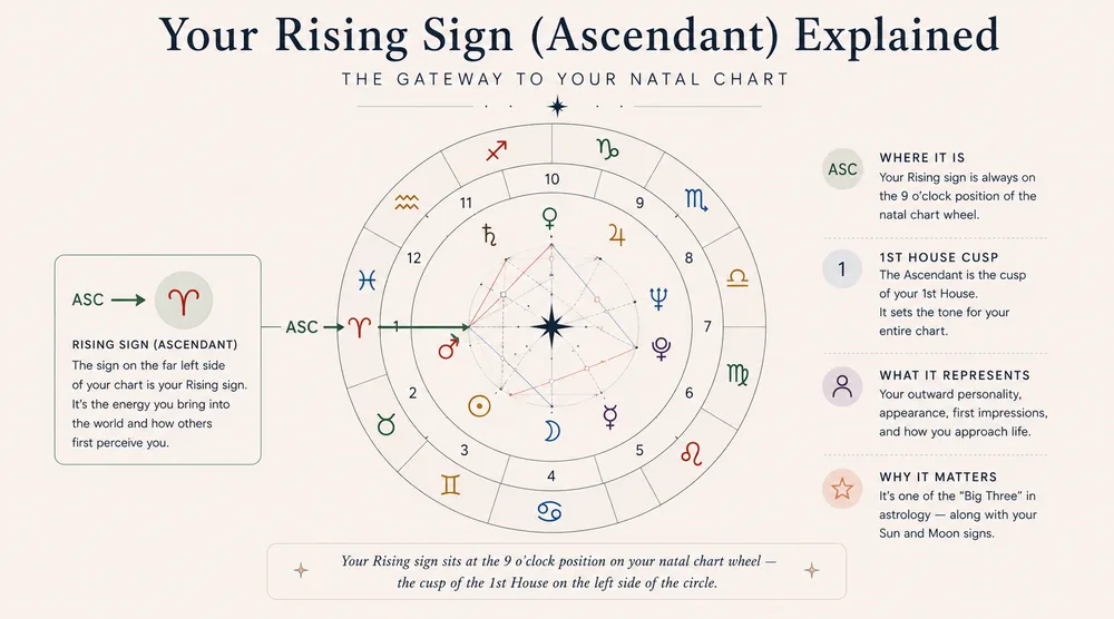 natal chart rising sign ascendant position on the chart wheel for beginners